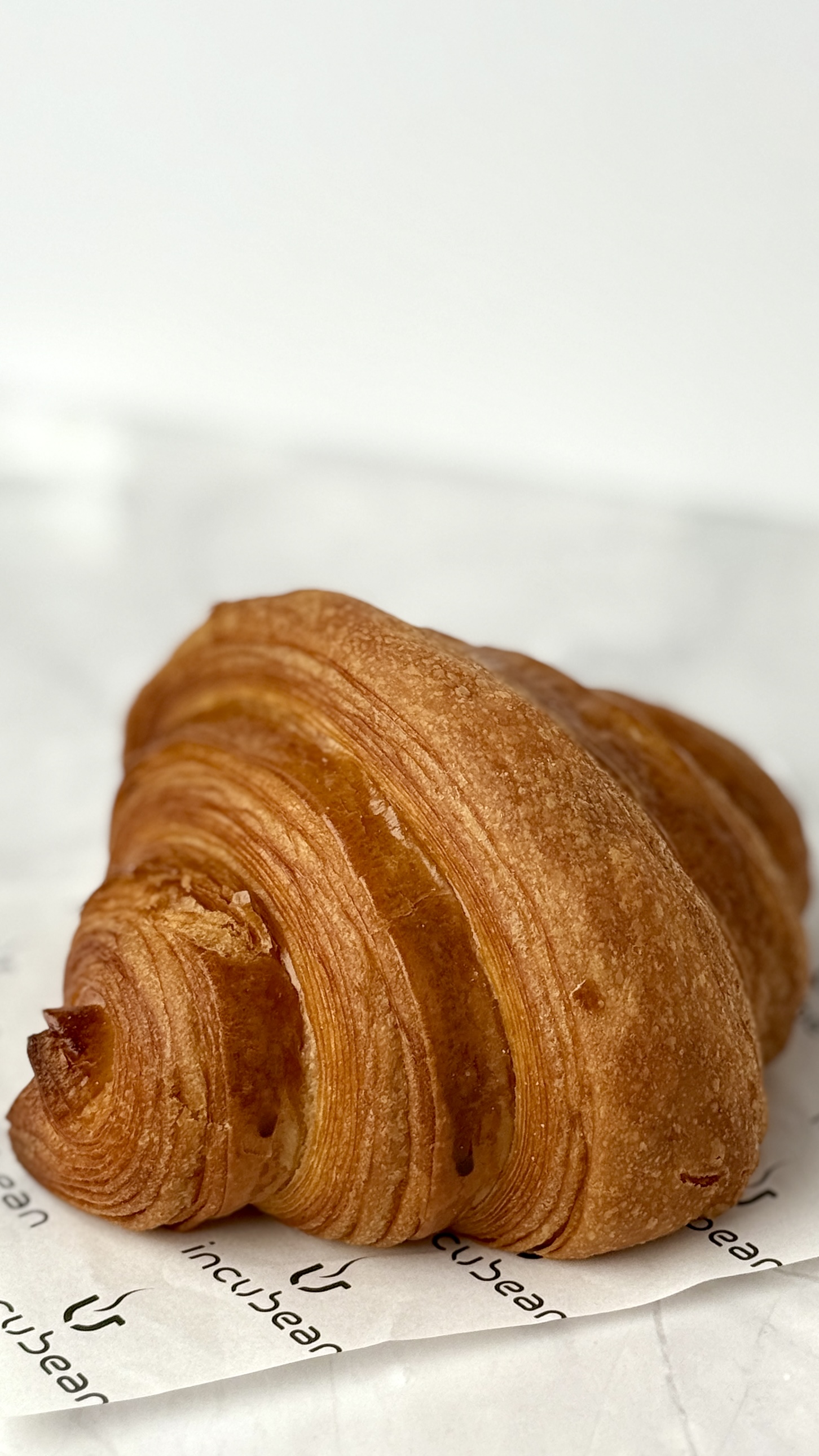 plain croissant